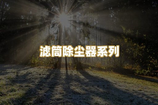 滤筒除尘器系列